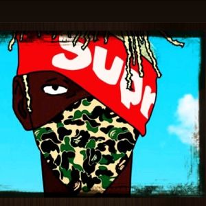 Meet your Posher, Gavin